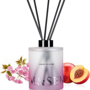 Reed Diffuser Set